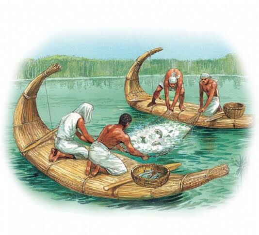 صيد الأسماك