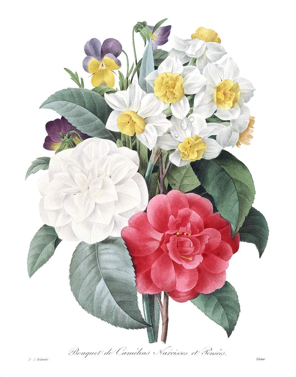 رب ضارة نافعة